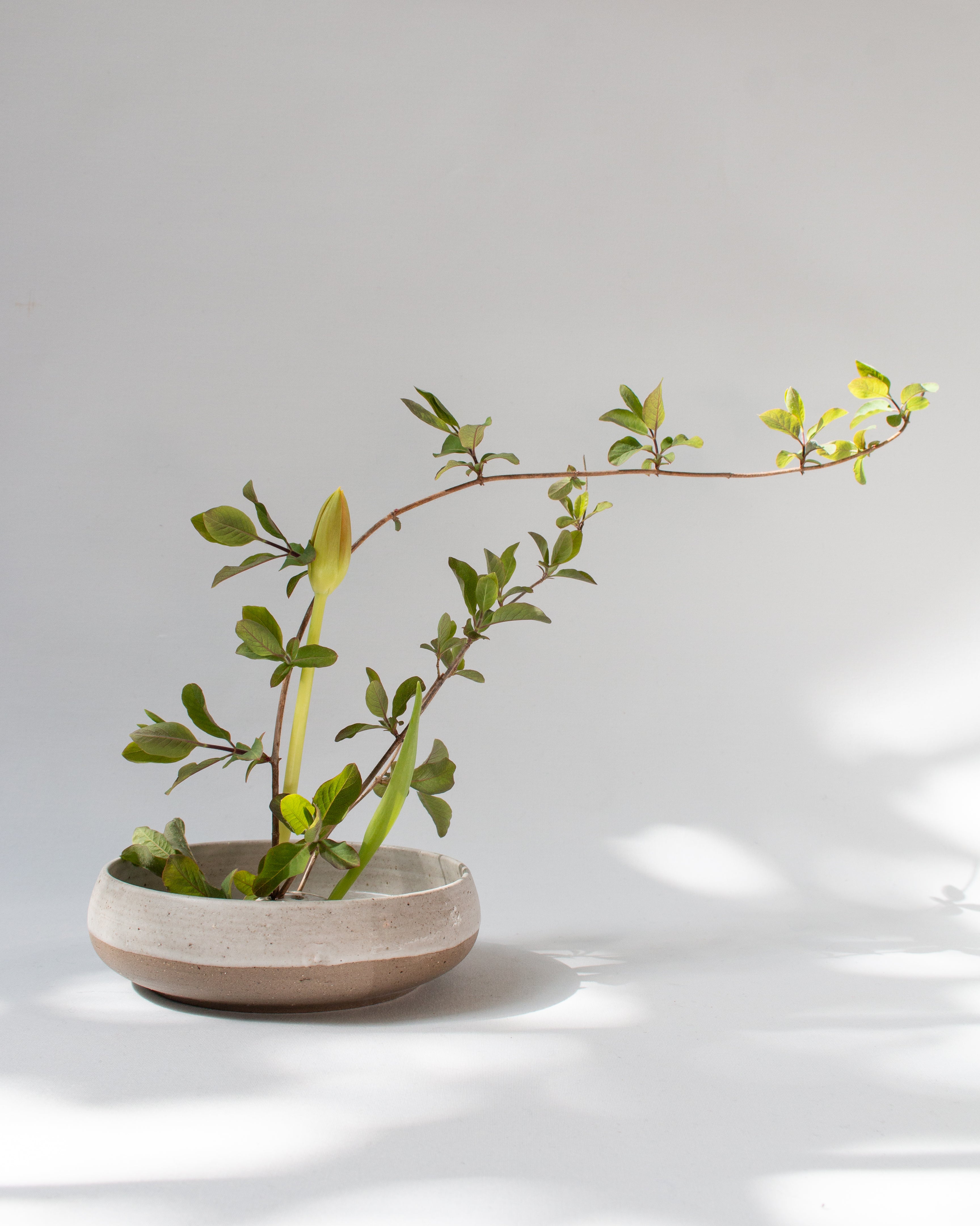 Ikebana bowl